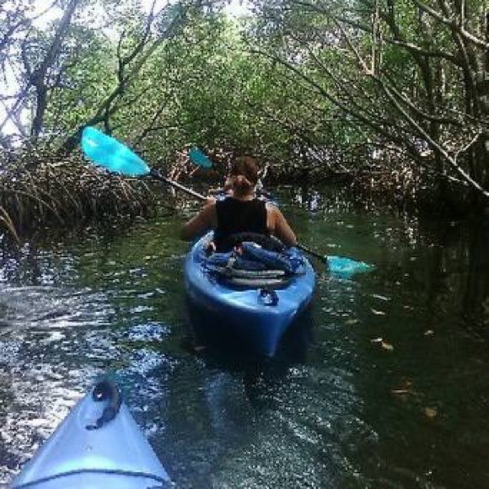 Meet your Posher, Diana